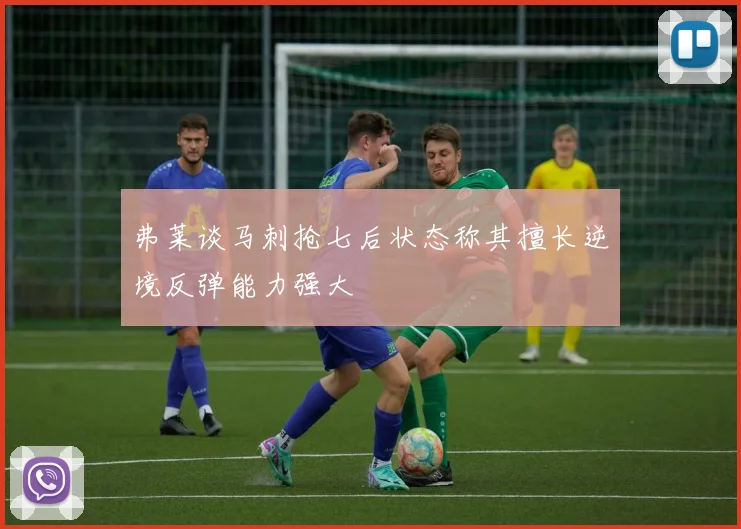 弗莱谈马刺抢七后状态称其擅长逆境反弹能力强大